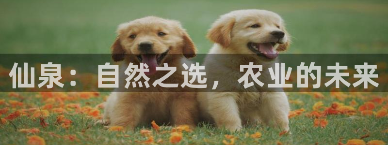 pg电子老是进不去