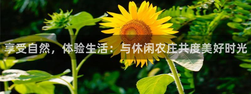 pg电子网站大平台