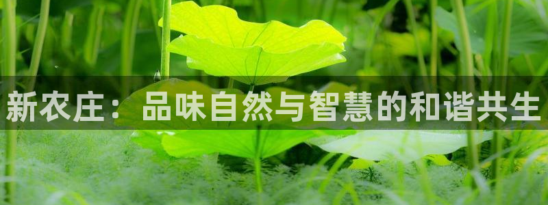 pg电子游戏封面图片