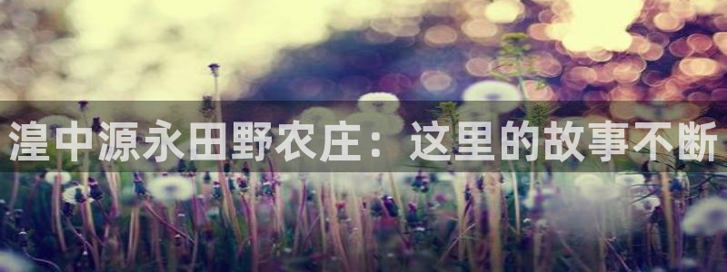 pp电子和pg电子