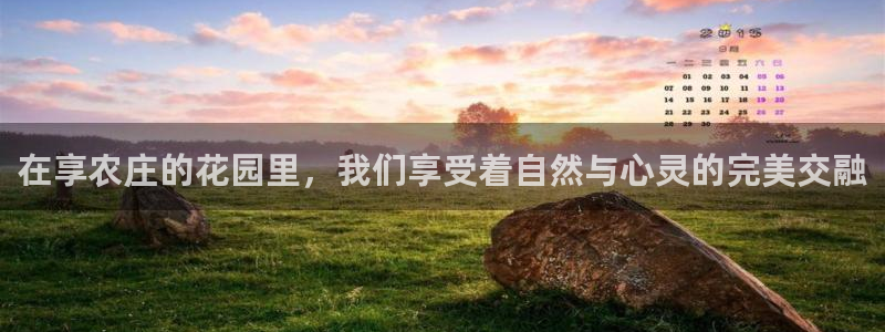 pg电子怎么天天输