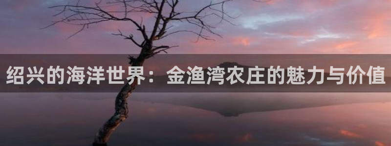 pg电子千赢国际
