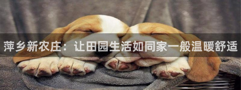 pg电子官网链接