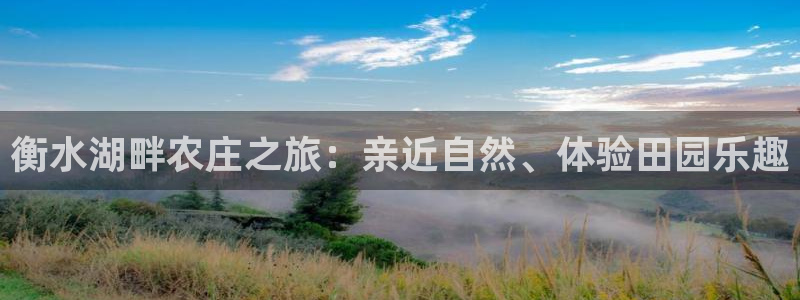 pg电子视频专区