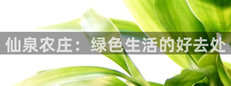 网页打不开Pg电子游戏