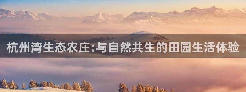 pg电子 爆分视频