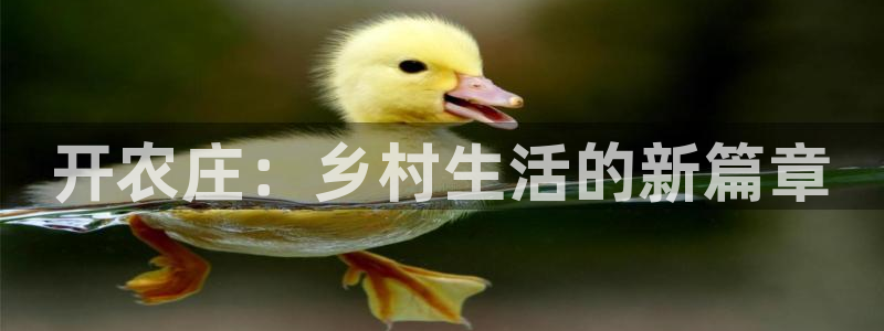 pg电子爆