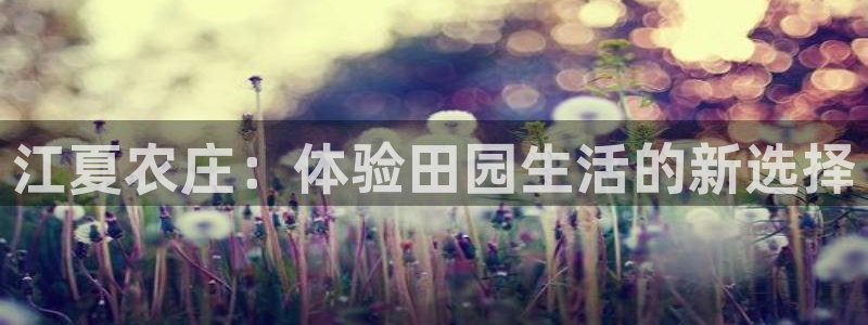 pg电子平台手机app