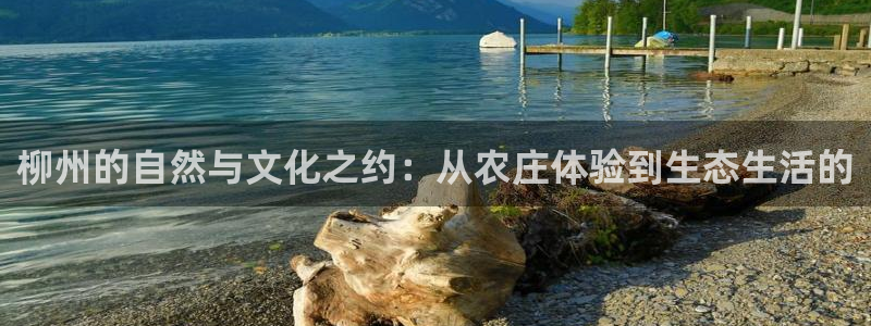 pg电子游戏爆分锦集