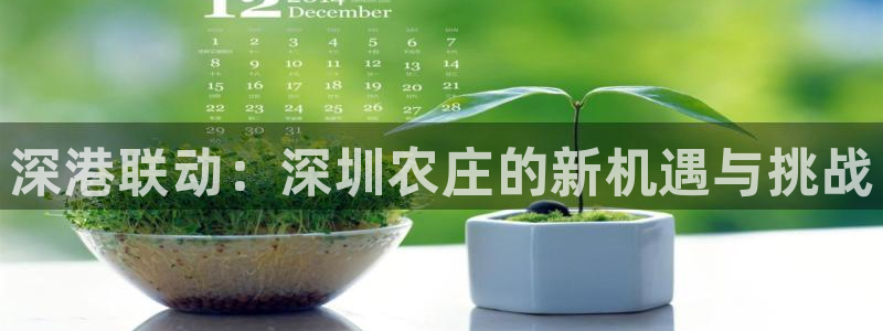 pg电子迎财神改代码