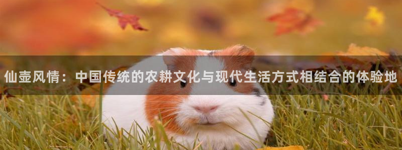 pg电子游戏哪里玩