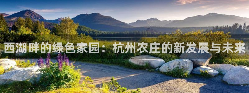 pg电子官方网
