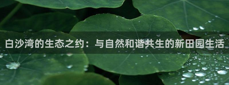 pg电子艳后之谜是什么