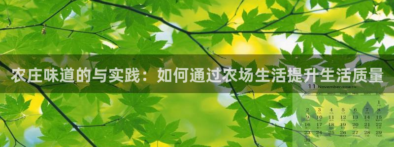 pg电子金猪抱财视频