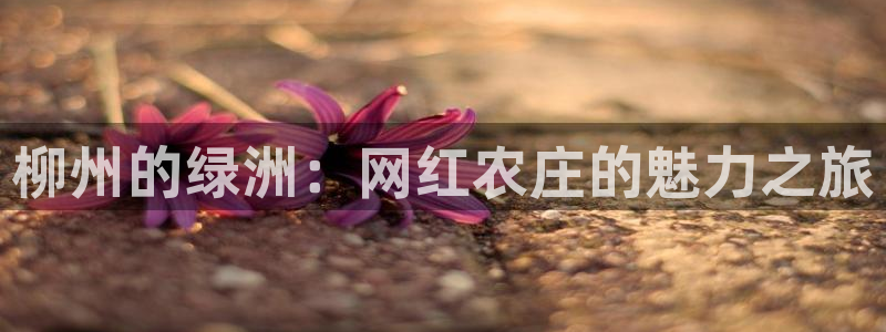 电子PG游戏解说