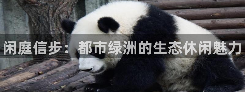 PG电子游戏坑人