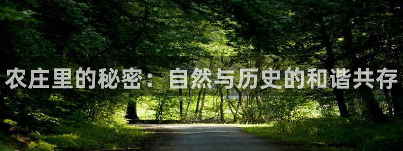 pg电子是局域网的吗