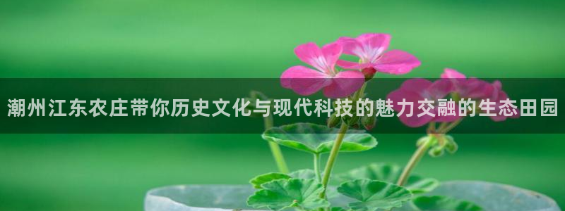 网站电子游戏PG怎么打