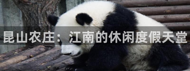 体育娱乐入口pg电子