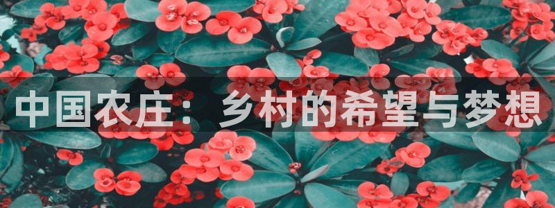 网赌PG电子怎么控制的