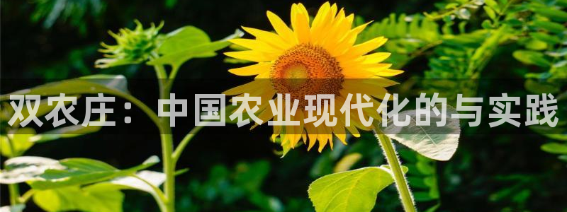 pg电子爆分视频在哪看