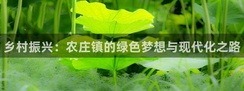 pg电子挂机