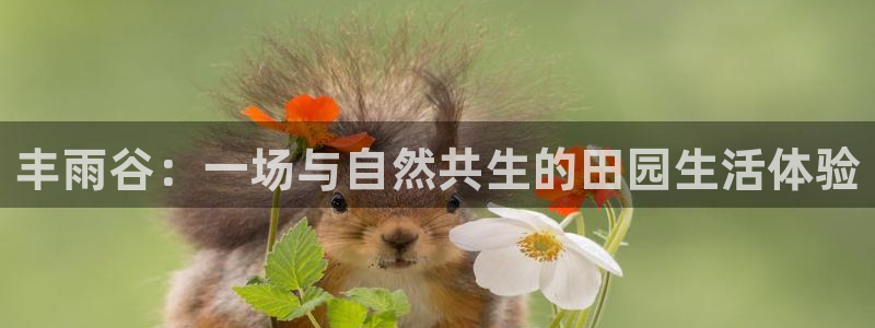 pg电子水果派对