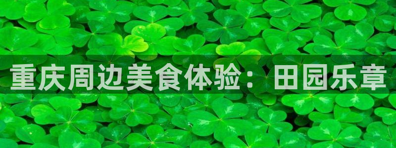 pg电子麻将胡了模拟器
