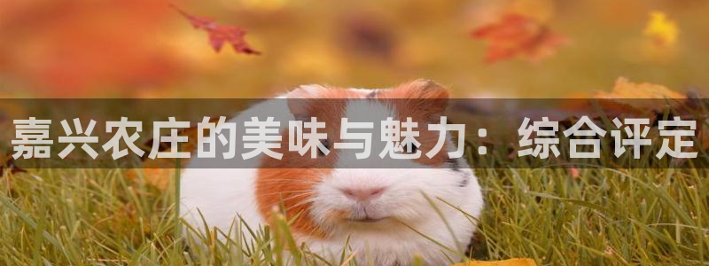 pg电子游戏刷水