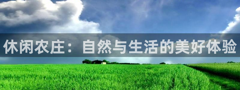 pg电子挂机