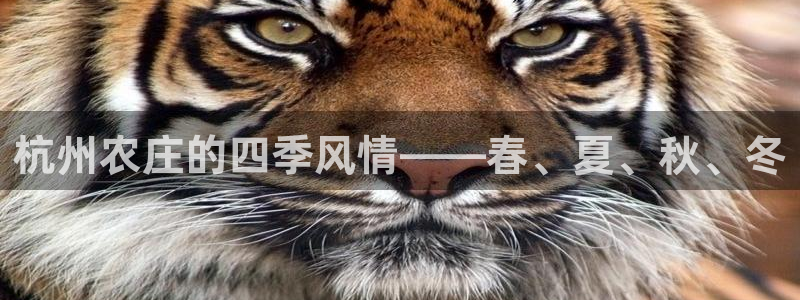 玩PG电子心得
