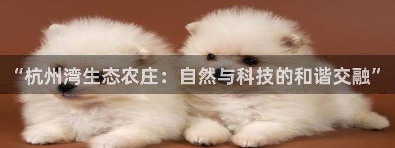 pg电子吃分爆分时间