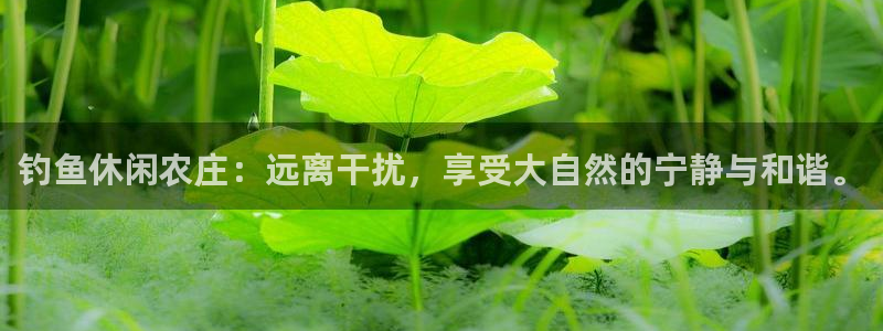 pg电子辅助软件下载