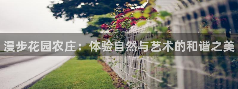 pg电子游艺哪个平台可以玩