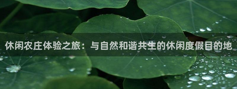 pg电子俱乐部旗下