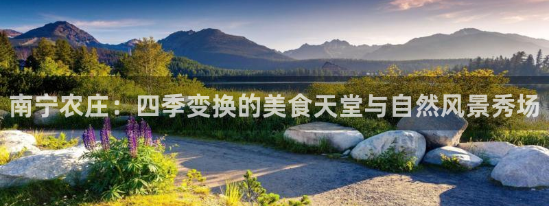pg电子迎财神改代码