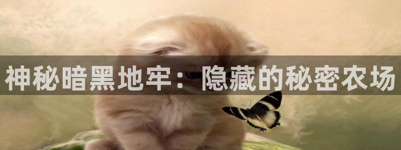 pg电子玩法心得