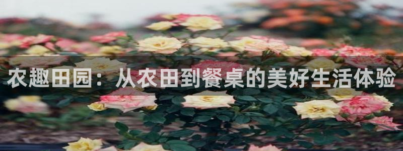 pg电子靠谱的平台