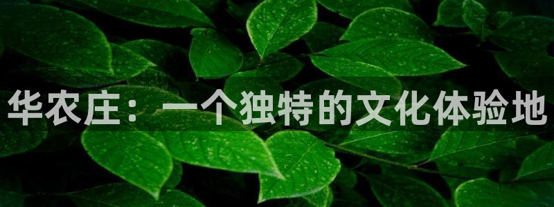 PG电子为什么这么坑