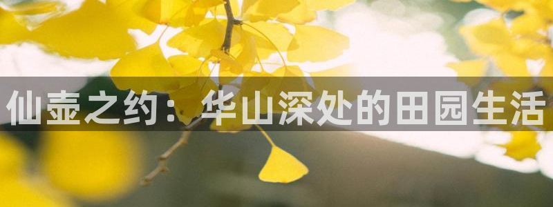 pg掉毛电子说明书