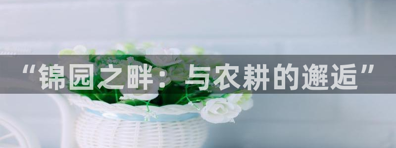pg电子算赌博吗