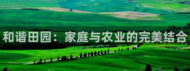 pg电子棋牌网站大全