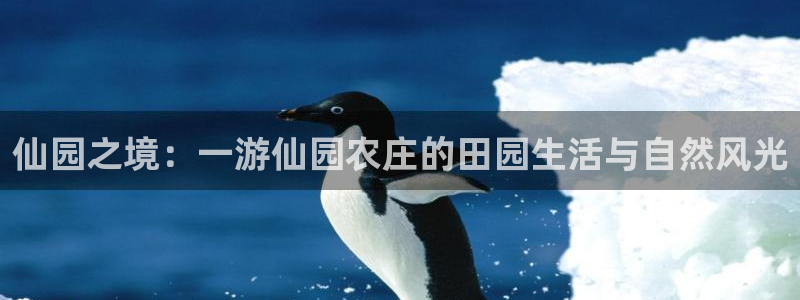 PG电子爆分辅助工具