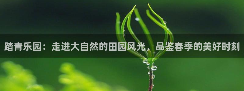 pg电子什么时候最容易爆大奖