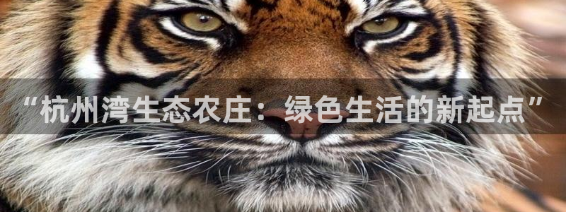 澳门PG电子网址