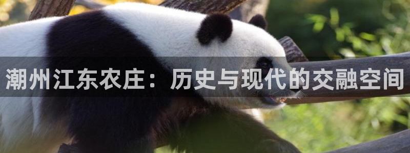 pg电子水果丛林