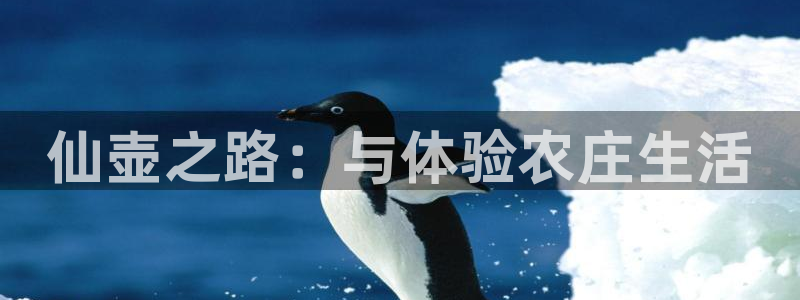 pg电子俱乐部是什么