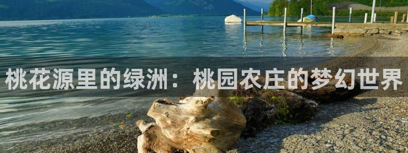 PG电子官方免费下载