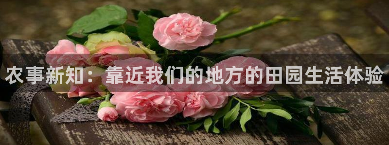 PG电子怎么登录