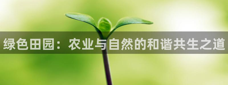 pg电子网址是多少